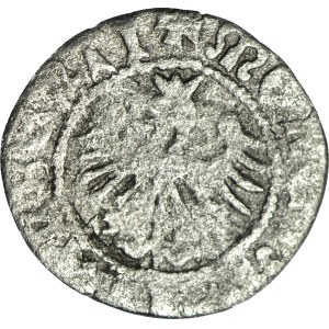 Jan Olbracht 1492–1501, Undated half-groschen, Kraków, O under a crown