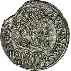 Sigismondo II Augusto, Groschen polacco del 1547, Vilnius