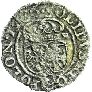 Stefan Batory, Szeląg 1586, Olkusz, N-H przy herbach