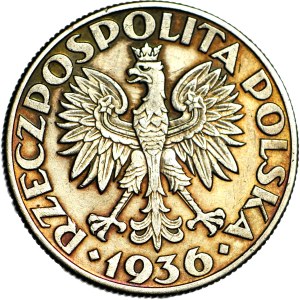 5 złotych 1936 Żaglowiec