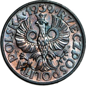 2 groszy 1939, ziochi
