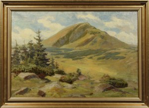Max (Hanneman) HANEMAN (1882-1944?), Pejzaż górski - wiosenny