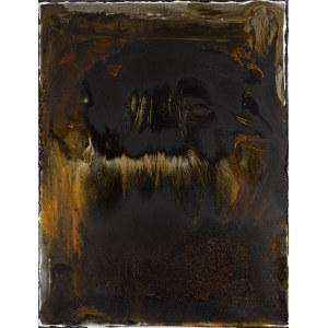 Bożenna Biskupska (ur. 1952, Warszawa), Klatka - materią wypełniona II, 2014