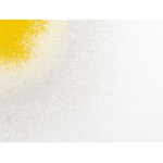 Katarzyna Gołębiowska (ur. 1982, Ostrzeszów), Bez tytułu, 2014