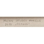 Michał Saturnin Kamiński (né en 1979, Częstochowa),  Działka , 2019.