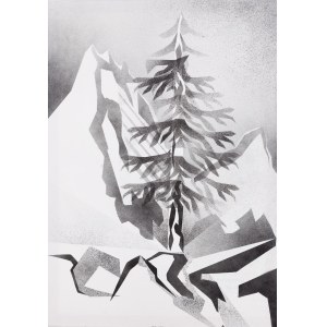 Filip Warzecha (b. 1994, Debica), Tatra-memory, 2024