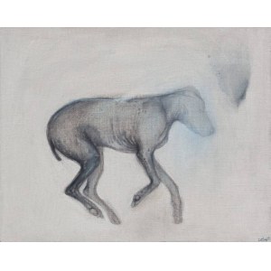 Magdalena Cybulska, Kiwi aus der Serie Meine Haut, 2013