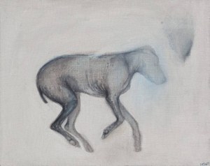 Magdalena Cybulska, Kiwi z cyklu Moja skóra, 2013