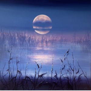 Anna Sołtysiak, Moonlight, 2026
