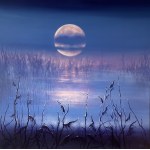 Anna Sołtysiak, Moonlight, 2026