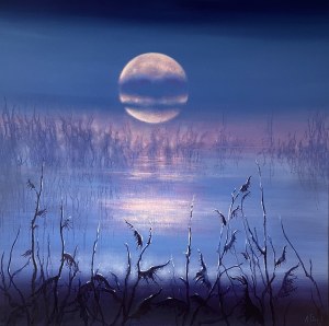 Anna Sołtysiak, Moonlight, 2026