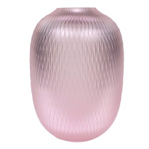 Rony Plesl, Vaso Metamorphosis