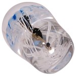 Jiří Pačinek, Paperweight with a jellyfish design