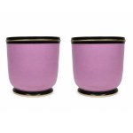 Matching Planters