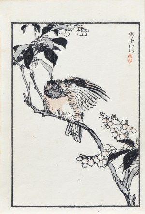 Kōno Bairei (1844-1895), Sikorka japońska, wyd. Ōkura Magobei, Tokio/Japonia, 1881 r.