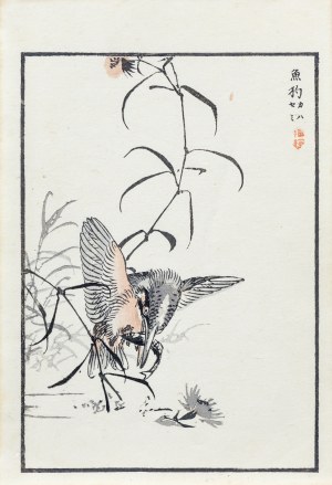Kōno Bairei (1844-1895), Zimorodek i rybka, wyd. Ōkura Magobei, Tokio/Japonia, 1881 r.