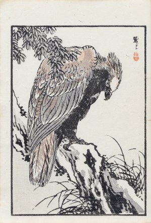 Kōno Bairei (1844-1895), Orzeł, wyd. Ōkura Magobei, Tokio/Japonia, 1881 r.