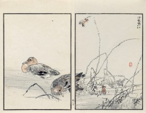 Kōno Bairei (1844-1895), Para kaczek, wyd. Ōkura Magobei, Tokio/Japonia, 1881 r.