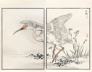 Kōno Bairei (1844-1895), Ibis japoński, wyd. Ōkura Magobei, Tokio/Japonia, 1881 r.
