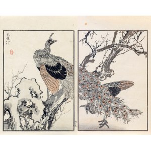 Kōno Bairei (1844-1895), Paw, wyd. Ōkura Magobei, Tokio/Japonia, 1881 r.
