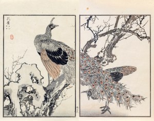 Kōno Bairei (1844-1895), Paw, wyd. Ōkura Magobei, Tokio/Japonia, 1881 r.