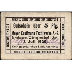 Poland. Jedlinka Gluszyca 1920 5 Fenigow