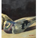 R. De Rose, birds - R. De Rose