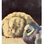 R. De Rose, birds - R. De Rose