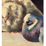 R. De Rose, birds - R. De Rose