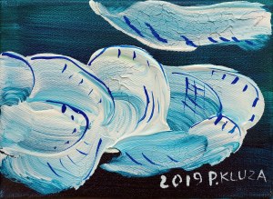 Paweł Kluza (ur. 1983), Cumulus, 2019