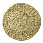 Sigismund II Augustus, Half-Grosz, 1549, Vilnius - LI/LITVA (546)