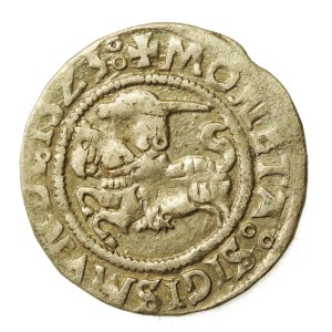 Sigismund I the Old, Half-grosz, 1523, Vilnius (592)