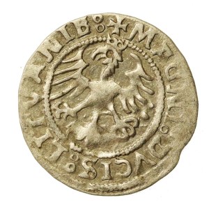 Sigismund I the Old, Half-grosz, 1523, Vilnius (592)