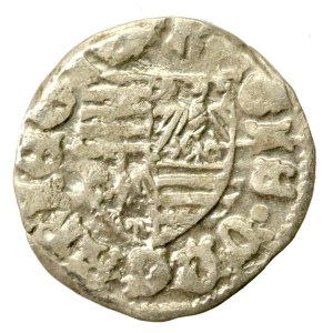 Hungary, Sigismund of Luxembourg, undated denarius (617)