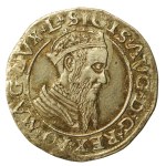 Sigismund II Augustus, Czworak 1566, Vilnius (669)
