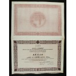 “Natural Gas” Joint-Stock Company for the Oil Industry, 100 zł, 1931 (324a)