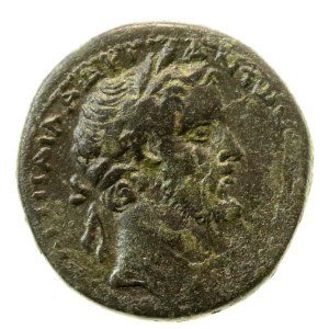Provincial Rome, Syria, Antioch, Antoninus Pius (138–161 CE), Bronze (841)