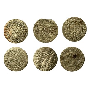 Sigismund III. Wasa, Set mit Bydgoszczer „Półtoraki“. Insgesamt 6 Stück (1029)