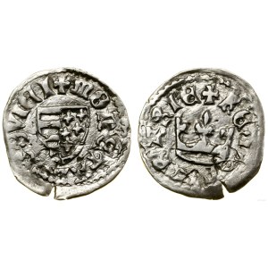 Polska, denar, (ok. 1345-1357)