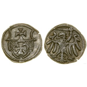 Poland, denarius, no date, Elbląg