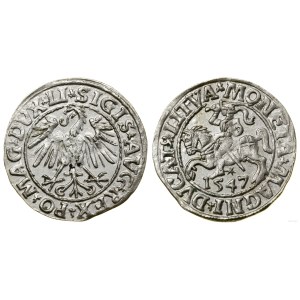 Polsko, půlpenny, 1547, Vilnius