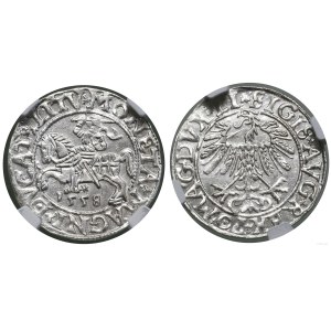 Polonia, mezzo penny, 1558, Vilnius