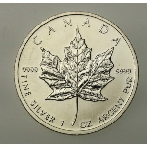 Kanada, Elżbieta II, 5 dolarów 2012 - Liść klonu, 1 oz. Ag 999 (163)