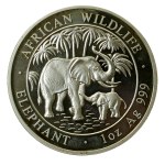 Somalia, 100 shillings, 2007 – Elephant, 1 oz. Ag 999 (227)