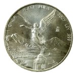 Mexico, 1 ounce 2007 - Libertad, 1 oz. Ag 999 (234)
