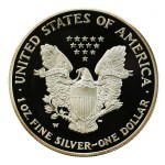 USA, 1 Dollar 2007 - American Eagle, 1 oz. Ag 999 (238)
