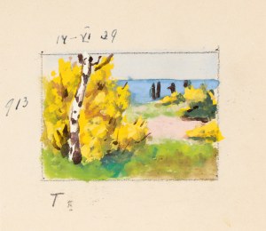 Soter August JAXA-MAŁACHOWSKI (1867-1952), Krzewy i brzoza na wydmach, 1939