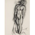 Henri Matisse (1869 Le Cateau-Cambrésis - 1954 Nicea), 