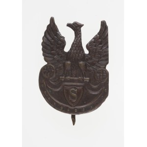 [Second Polish Republic] The eagle with the letter S on the shield of the Amazons (the eagle of the reconstituted Rifle Association). Interwar period