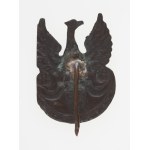 [Second Polish Republic] The eagle with the letter S on the shield of the Amazons (the eagle of the reconstituted Rifle Association). Interwar period